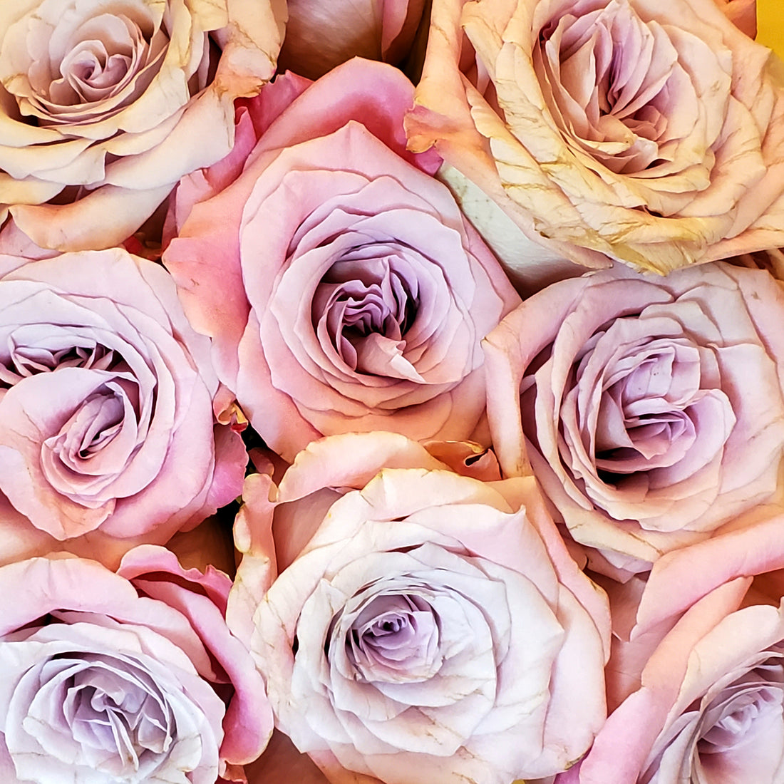 How Essential Oils Are Made- Aromanthi Blog