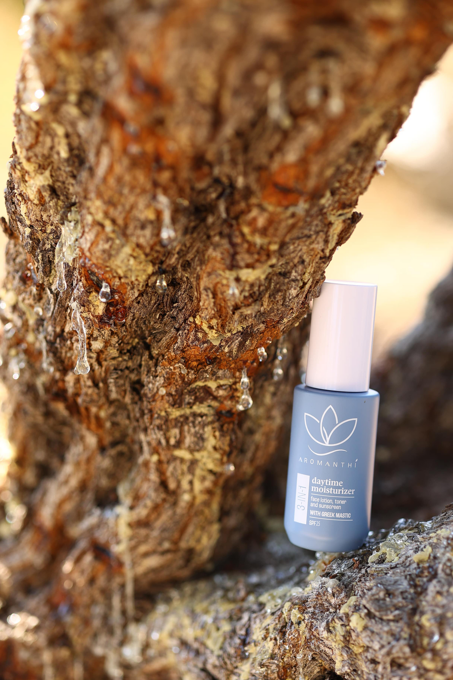 Aromanthi Daytime Moisturizer with Greek mastic laying on top of a Chios Greek Mastiha tree