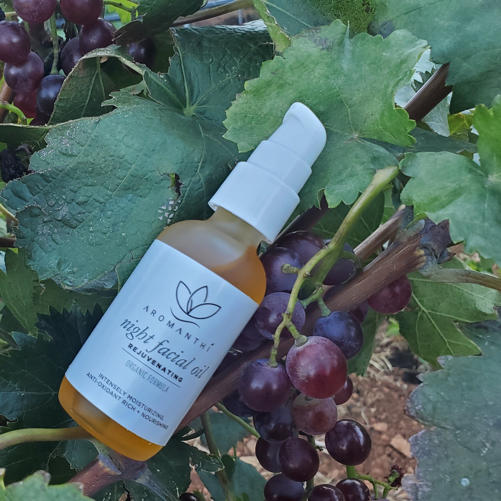Night Facial Oil by Aromanthi is made with essential oils, rosehip seed and grapeseed oils. The bottle lays on a grapevine.